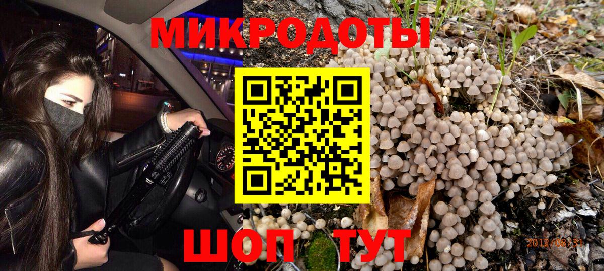 Киселёвск  Галлюциногенные грибы Magic Shrooms  Вход с VPN 