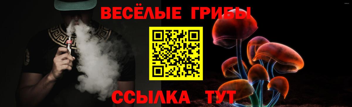 Псилоцибиновые грибы мухоморы Киселёвск